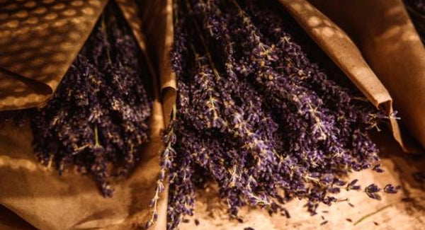 Lavender