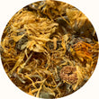 Calendula