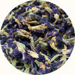 Butterfly Pea Flowers